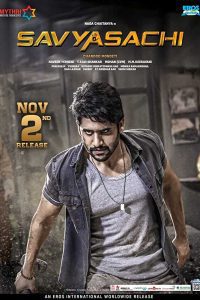 Savyasachi (2018) South Movie Hindi Dubbed HDRip 480p [461MB] | 720p [1.2GB] Download