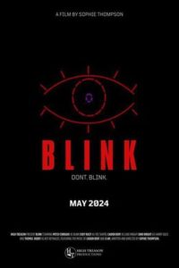 Download   Blink (2024) WEB-DL ORG. Dual Audio [Hindi – Kannada] UnCut Full Movie 480p 720p 1080p