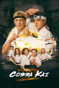 Download Cobra Kai (2024) Season 6 [Part-1 and 2] Dual Audio {Hindi-English} NetFlix-Series 480p 720p 1080p