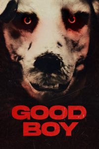 Download Good Boy (2022) Dual Audio {Hindi-Norwegian} Full Movie 480p 720p 1080p