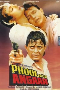 Download Phool Aur Angaar (1993) AMZN WEB-DL Hindi Full Movie 480p 720p 1080p