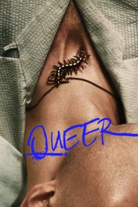 Download Queer (2024) WEB-DL {English With Subtitles} Full Movie 480p 720p 1080p