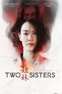 Download Two Sisters (2019) WEB-DL Dual Audio {Hindi-Chinese} Full Movie 480p 720p 1080p